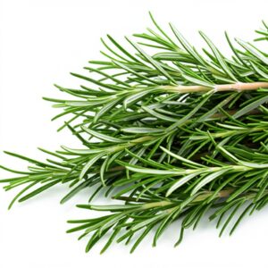 Rosemary: The Fragrant Guardian