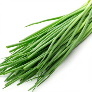 Chives: The Elegant Allium