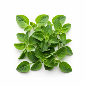 Oregano: The Flavourful Classic