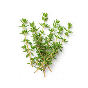 Thyme: The Timeless Wonder